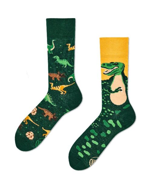 The Dinosaurs Sock