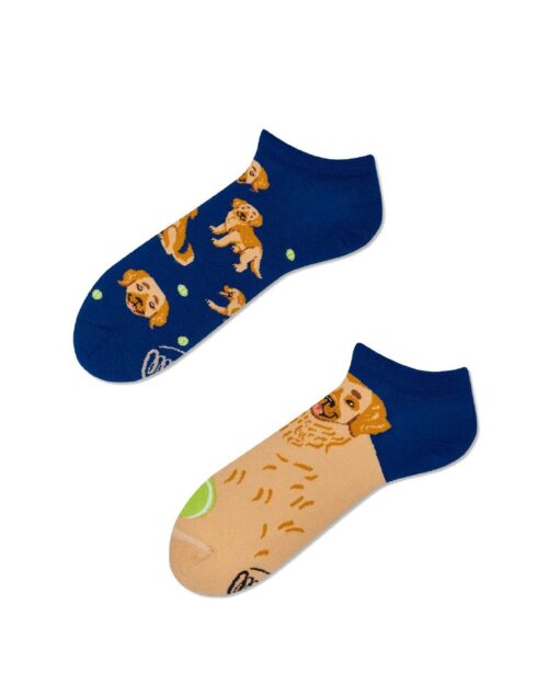 Golden Boy Low Sock