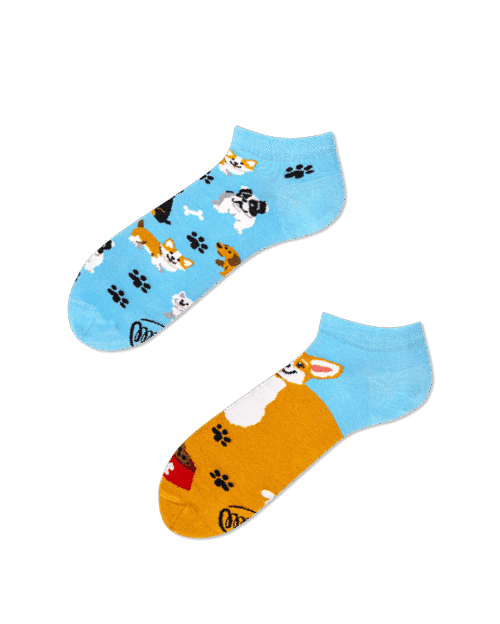 Playful Dog Low Sock
