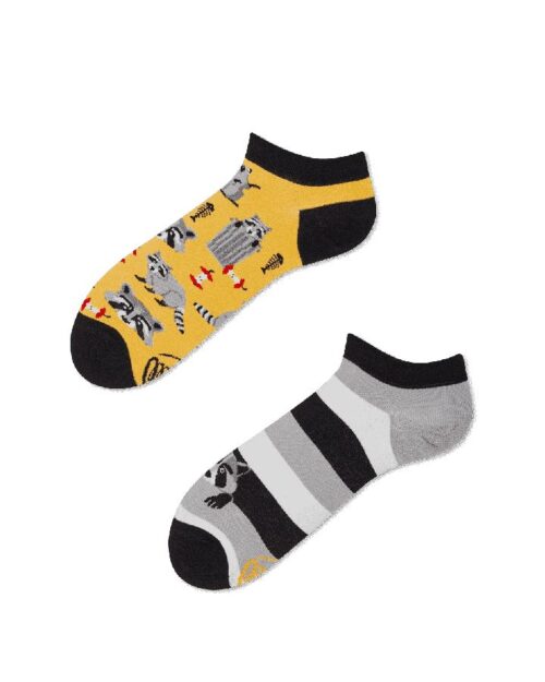 Raccoon Bandit Low Sock