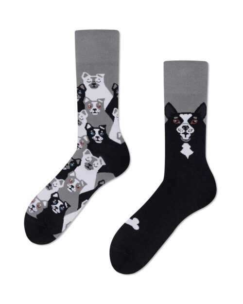 Black Dog Sock
